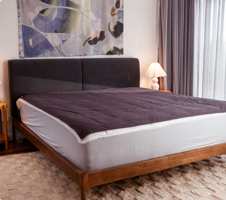 Premium Grounding Queen Sheet