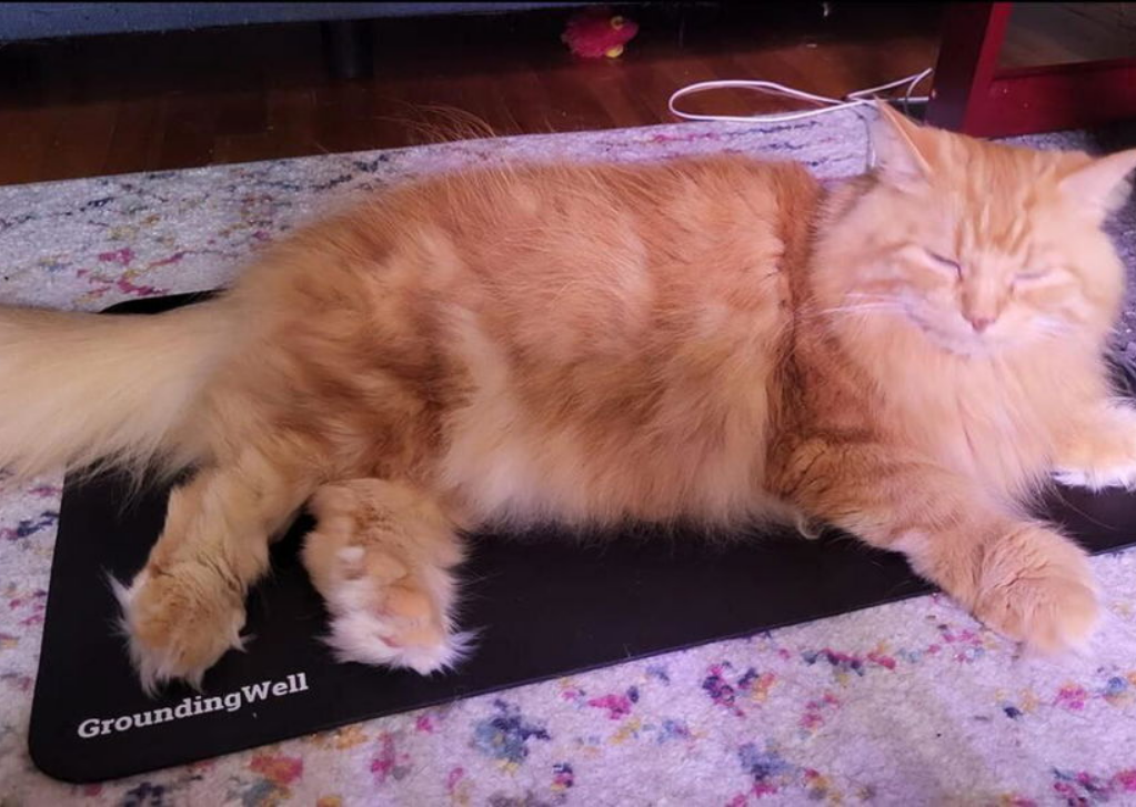 GroundingWell Pet Mat — Conductive Grounding Mat for Dogs and Cats image 5
